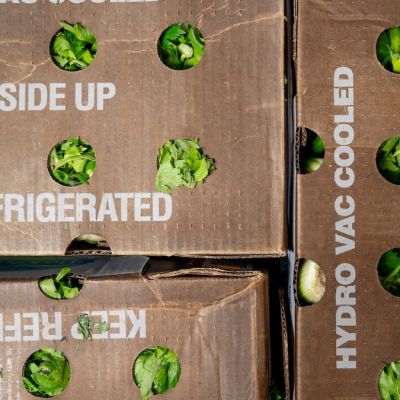 A worker on the front lines of helping Oregonians losing SNAP benefits