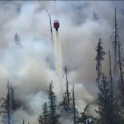 Donald Trump blames Canada for smoke pollution