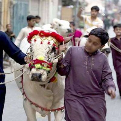 Pakistan celebrates Eidul Adha with religious zeal and fervor