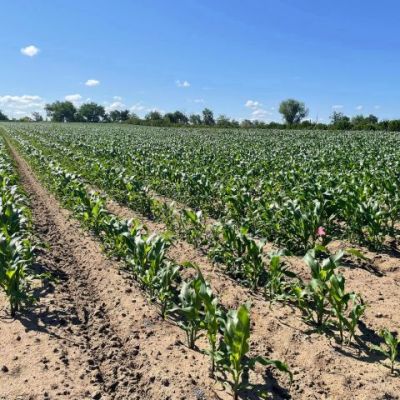 Burlington County Commissioners Take Step to Preserve Another 1,200 Acres of Farmland