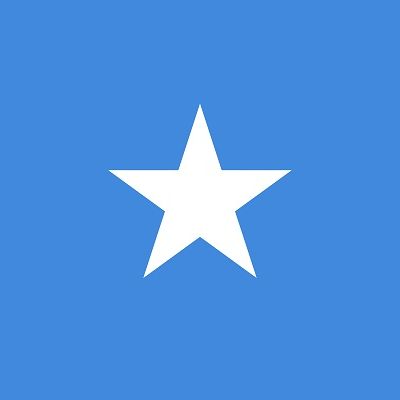 Nigeria, AU call for respect of sovereignty, unity of Somalia – The Nation Newspaper