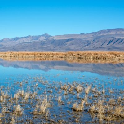 Water ‘coup’ by developers threatens precious Nevada resource, report warns