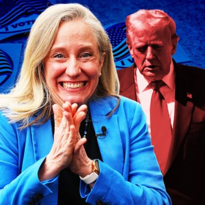 Trump Suffers Bloody Nose as Virginia Flips Dem in a Landslide