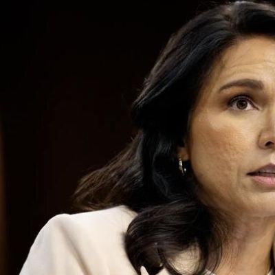 ‘A Lie And Propaganda’: Gabbard Fact-Checks Reuters’ Russia Scaremongering In Real Time