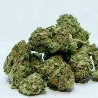 Dubai returnee caught with 12 kg hydroponic ganja at Hyderabad airport