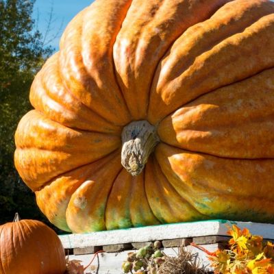 Resources Top 5: McLaren’s monster mineral sands upgrade tips the global titanium scale