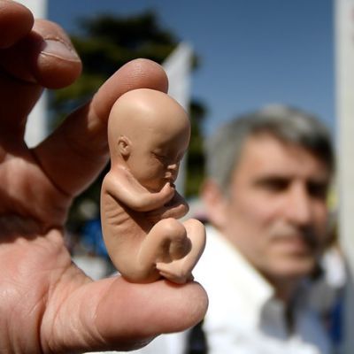 Poll: Support for Florida Abortion Amendment Falls Short
