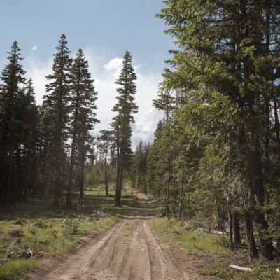 Oregon’s woke forestry service and more: Letters to the Editor  — …