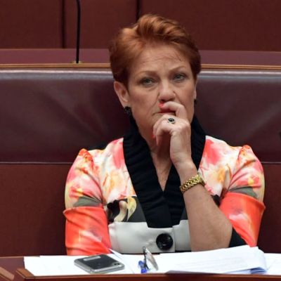 ‘Get Her Out!’: Aussie Senator’s Burqa Protest Causes Meltdown