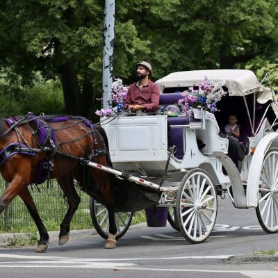A New York City tourist staple could be going away after 160 years