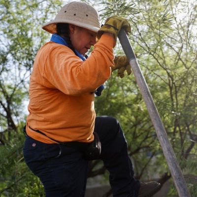 Phoenix extreme heat: Health official says preparation is key