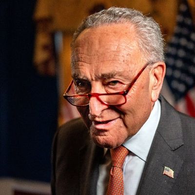 Republicans say Schumer must act on voter proof of citizenship bill if Democrat 'really cares about democracy'
