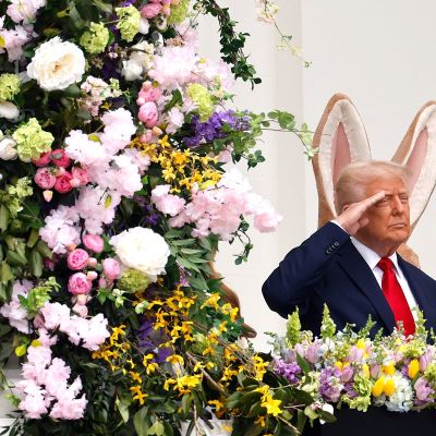 The most eyebrow-raising moments of Trump 2.0