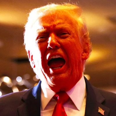 ‘Failed to identify a source of authority’: Donald Trump humiliated as Supreme Court slaps down Illinois National Guard deployment