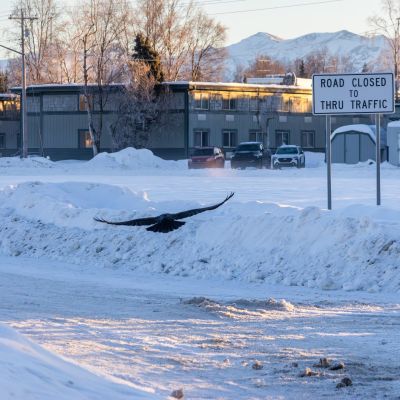 Winter storm warnings for 11 states as “record-breaking snowfall” strikes