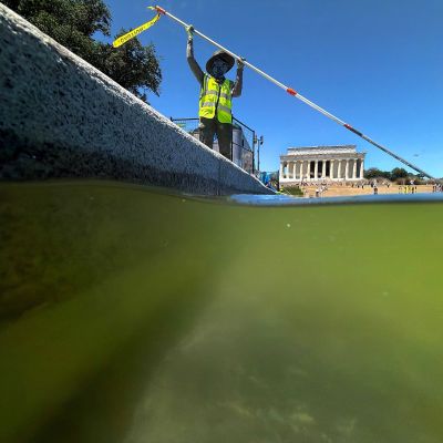 Masters Bike Racer and Triple Olympian Arrested at Lincoln Memorial Reflecting Pool