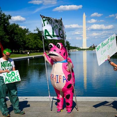 What the Reflecting Pool Saga Says About President Trump’s Haters