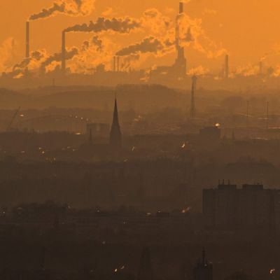 30% of global companies will use fossil fuels into the 2050s