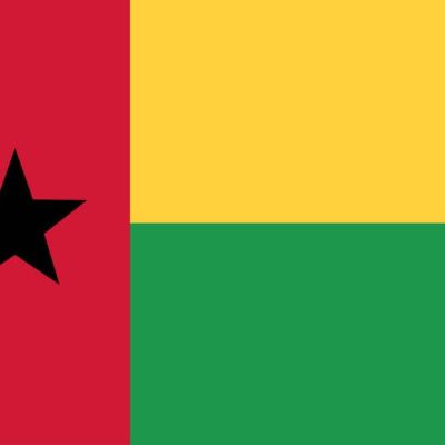 Guinea-Bissau military appoints general as strongman following coup | The Citizen