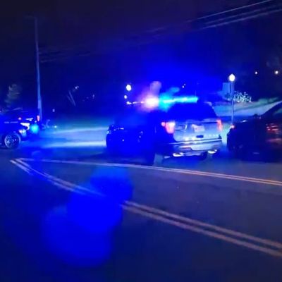 Brave Individual Subdues Shooter at Wedding Reception, Fatality Reported – Internewscast Journal