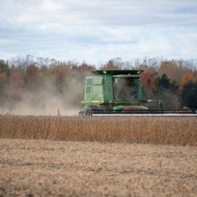 Kent County accepting applications for farmland protection program