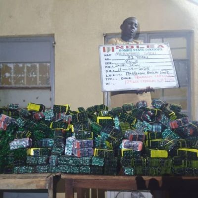 Notorious drug lord nabbed in Delta as NDLEA intercepts N7.8bn opioids in Rivers