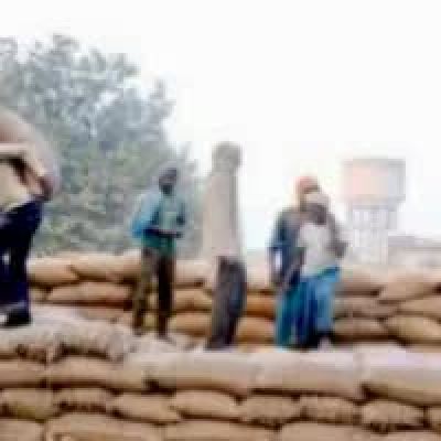 Four New Labour Codes Come Into Effect; Greater Security Net For All Workers