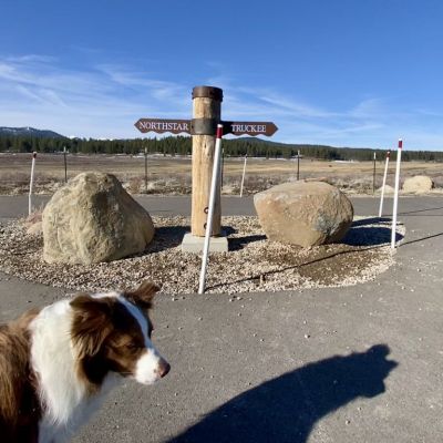 Tahoe updates from the Placer County Board of Supervisors