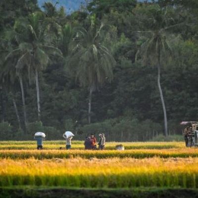 EU, Indonesia ink trade deal after years of talks