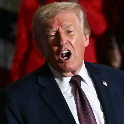 Sidelined Trump Goon Secretly Working on Unhinged Project