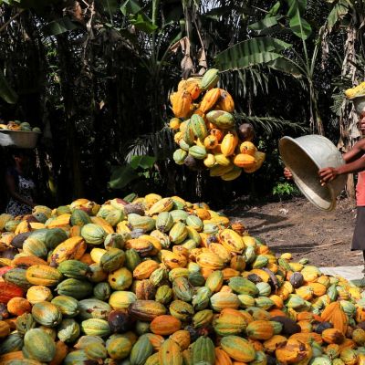 Cocoa tops global commodities rally for 2nd year, steel ingredients struggle on China demand