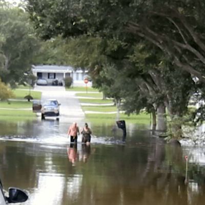 Florida lawmakers eye changes after 2024 hurricanes