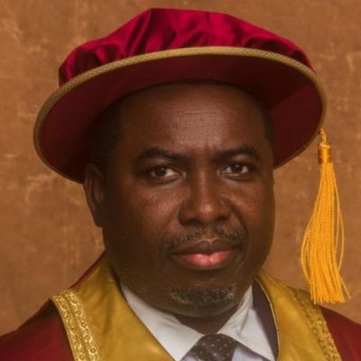 Amupitan’s nomination as INEC chairman gets support – The Nation Newspaper