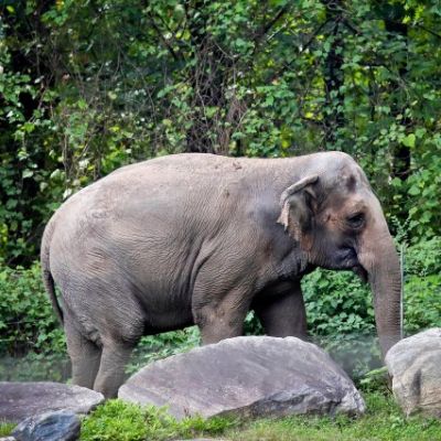 Readers sound off on Happy’s happiness, e-bike accidents and candidates’ character