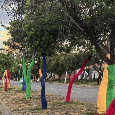 POLITICAL WEEK AHEAD: SA gears up for high-stakes G20 summit in Joburg