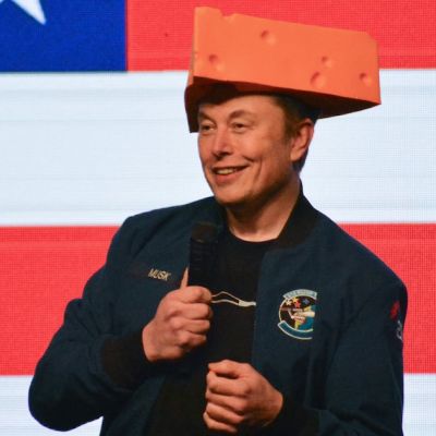 Dems Beg Musk to Support Their GOP Opponents After Big Loss