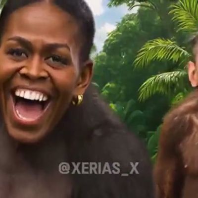 President Donald Trump Posts Racist Video Depicting Obamas as Monkeys