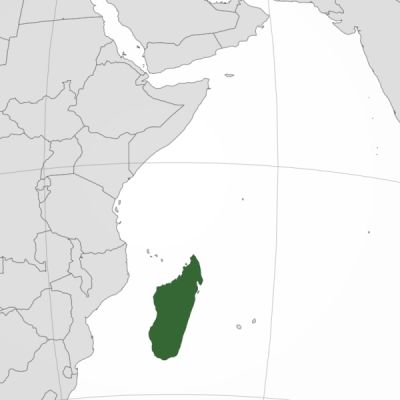 Gen Z Rage Topples Another Regime In India’s Neighbourhood — Madagascar’s President Flees, Army Takes Over