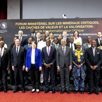 Calls for critical minerals to drive economic transformation – African Mining Online