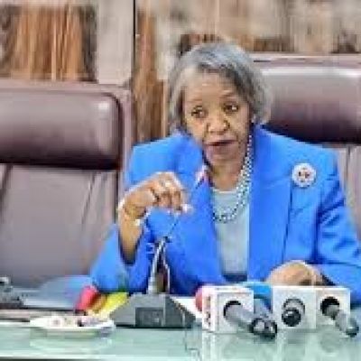 Every vote will count-INEC Acting National Chairman declares war on electoral fraud – Champion Newspapers LTD