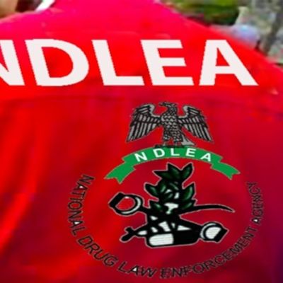 NDLEA nabs suspected drug baron, five others over cocaine concealed in export goods