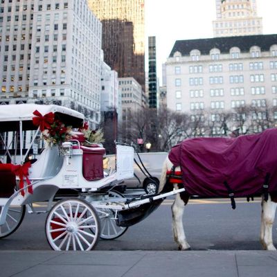 What is Romanch’s Law? New York City’s historic horse carriage ban after Indian tourist’s death
