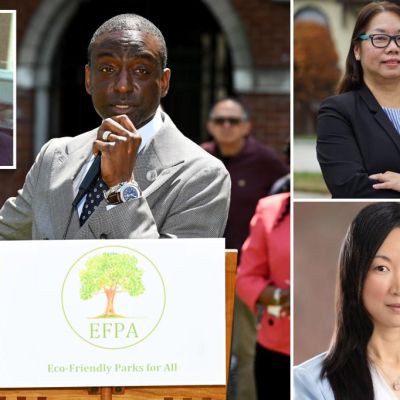 Here's what to expect in NYC Council primaries as early voting opens...