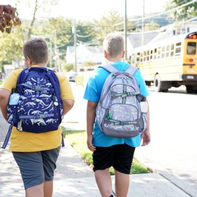 The New Deal, school closures’ irreversible damage and other…