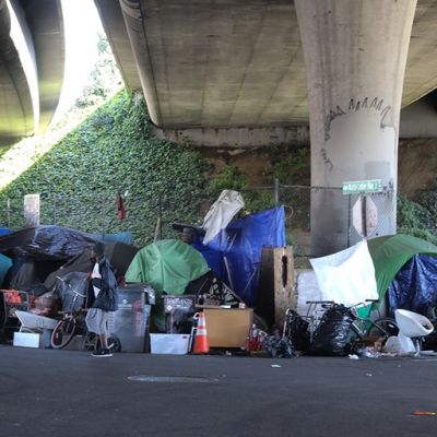 The left’s homeless plans wrecked our cities. Now help may come from an unexpected source