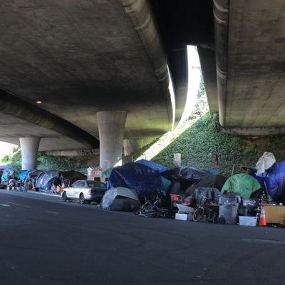 Supreme Court can fix the homeless crisis that the government caused