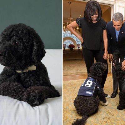 Michelle and Barack Obama Announce the Death of Beloved Dog and Former White House Resident Sunny