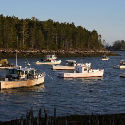 Fishermen want to go green but say DOGE cuts prevent that