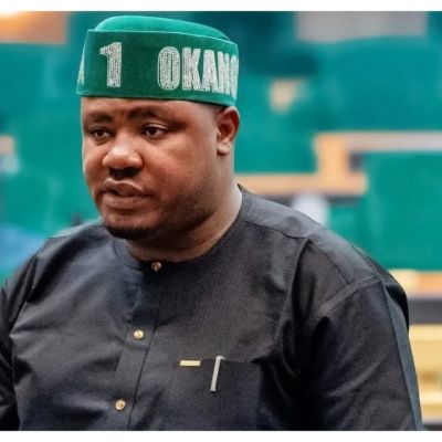 ‘House Of Reps Does Not Need President Tinubu To Resolve Budget-related Issues’ – Agbese