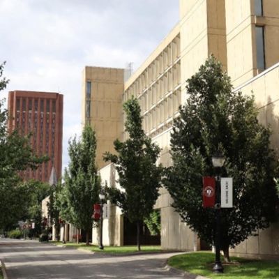 UMass community reacts to Gaza ceasefire